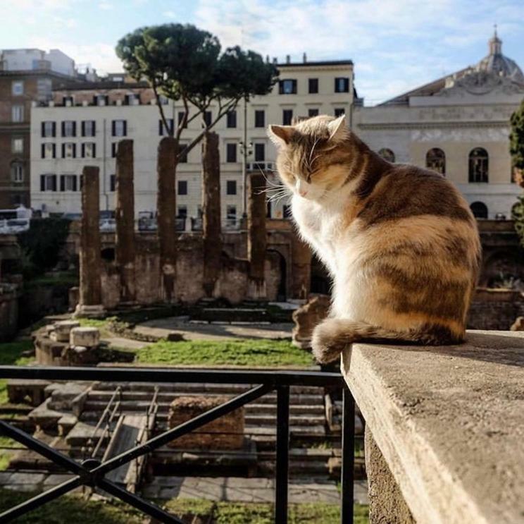 Ancient Roman Mansion 외부 사진